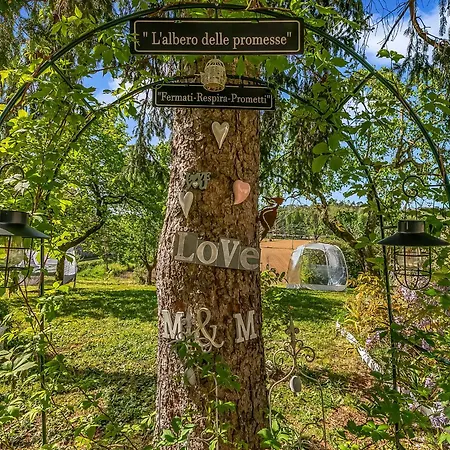 Mon Paradis Apartmán *